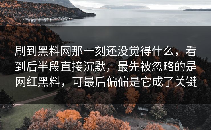 刷到黑料网那一刻还没觉得什么,看到后半段直接沉默,最先被忽略的是网红黑料,可最后偏偏是它成了关键