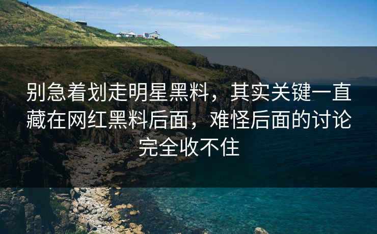 别急着划走明星黑料,其实关键一直藏在网红黑料后面,难怪后面的讨论完全收不住