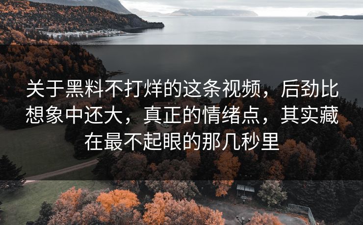 关于黑料不打烊的这条视频，后劲比想象中还大，真正的情绪点，其实藏在最不起眼的那几秒里