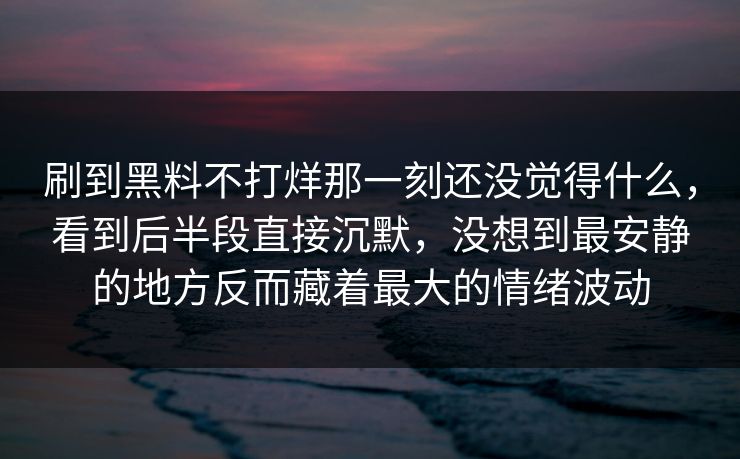 刷到黑料不打烊那一刻还没觉得什么，看到后半段直接沉默，没想到最安静的地方反而藏着最大的情绪波动