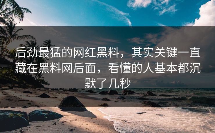 后劲最猛的网红黑料，其实关键一直藏在黑料网后面，看懂的人基本都沉默了几秒