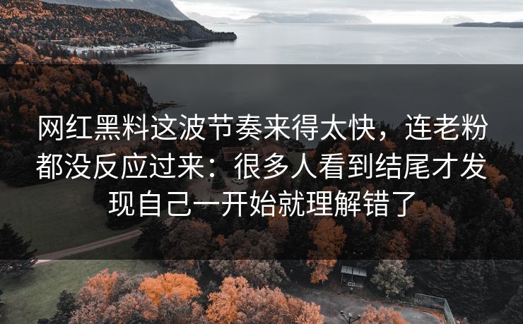 网红黑料这波节奏来得太快，连老粉都没反应过来：很多人看到结尾才发现自己一开始就理解错了